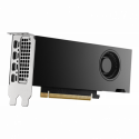 NVIDIA RTX 2000 Ada Generation - Graphics card - NVIDIA RTX 2000 Ada - 16 GB GDDR6 - PCIe 4.0 x8 - 4 x Mini DisplayPort