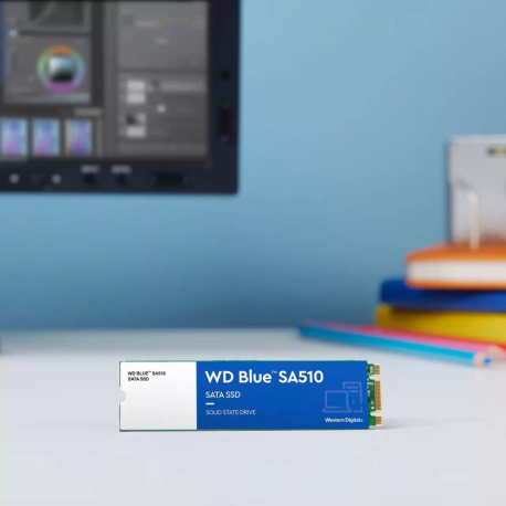 WD Blue SA510 WDS100T3B0B-00AXS0 - SSD - 1 TB - internal - M.2 2280 - SATA 6Gb/s - 5