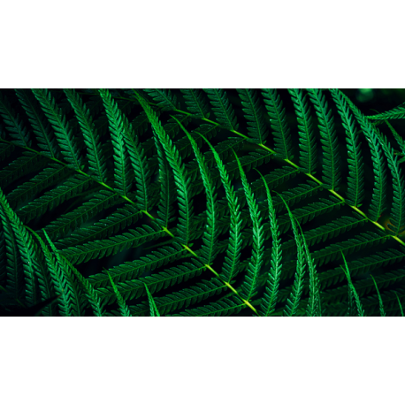 Philips 27B2G5200 - LED monitor - 27" - 1920 x 1080 Full HD (1080p) @ 100 Hz - IPS - 1500:1 - HDMI, VGA, DisplayPort - speakers - charcoal, silver - 5