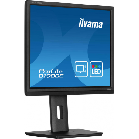 iiyama ProLite B1980S-B1 - LED monitor - 19" - 1280 x 1024 @ 75 Hz - TN - 250 cd / m² - 1000:1 - 3 ms - HDMI, DisplayPort - speakers - black, matte - 1