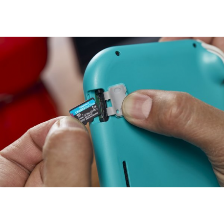 Kingston Canvas Go! Plus - Flash memory card - 1 TB - A2 / Video Class V30 / UHS-I U3 / Class10 - microSDXC UHS-I - 6