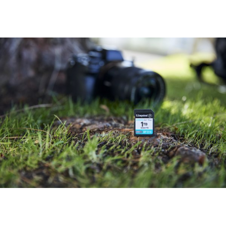 Kingston Canvas Go! Plus - Flash memory card - 1 TB - Video Class V30 / UHS-I U3 / Class10 - SDXC UHS-I - 2