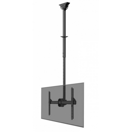 Neomounts CL35-440BL16L - Mounting kit (ceiling mount) - full-motion - for flat panel - steel - black - screen size: 37"-70" - 0