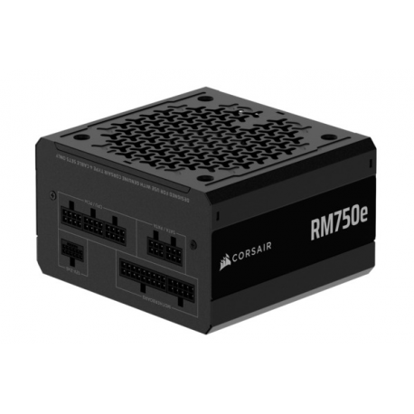 CORSAIR RMe Series RM750e - Power supply (internal) - ATX 3.1 - 80 PLUS Gold - AC 100-240 V - 750 Watt - Europe - 5