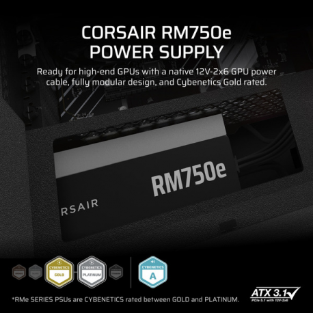 CORSAIR RMe Series RM750e - Power supply (internal) - ATX 3.1 - 80 PLUS Gold - AC 100-240 V - 750 Watt - Europe - 10