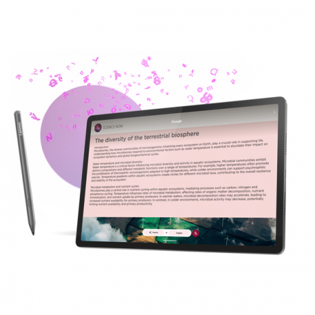 Lenovo Idea Tab Pro ZAE4 - Tablet - Android 14 or later - 256 GB UFS card - 12.7" LTPS (2944 x 1840) - microSD slot - luna grey - 11