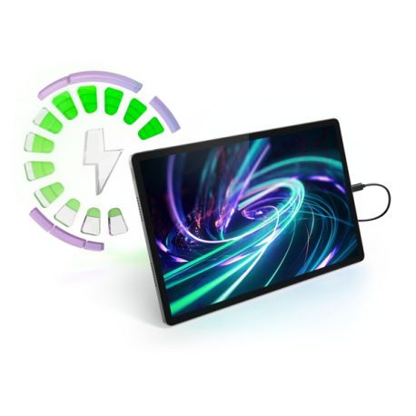 Lenovo Idea Tab Pro ZAE4 - Tablet - Android 14 or later - 256 GB UFS card - 12.7" LTPS (2944 x 1840) - microSD slot - luna grey - 19