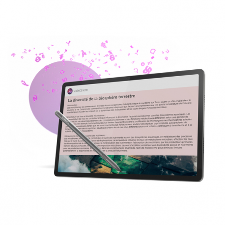 Lenovo Idea Tab Pro ZAE4 - Tablet - Android 14 or later - 256 GB UFS card - 12.7" LTPS (2944 x 1840) - microSD slot - luna grey - 29