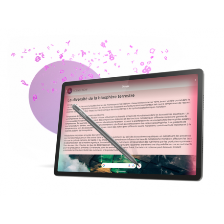 Lenovo Idea Tab Pro ZAE4 - Tablet - Android 14 or later - 256 GB UFS card - 12.7" LTPS (2944 x 1840) - microSD slot - luna grey - 38