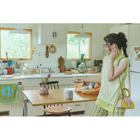 Sony LinkBuds SRS-LS1 - Speaker - for portable use - wireless - Bluetooth - App-controlled - 2-way - light grey - 6