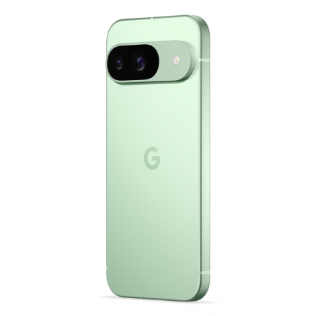 Google Pixel 9 - 5G smartphone - dual-SIM - RAM 12 GB  /  Internal Memory 128 GB - OLED display - 6.3" - 2424 x 1080 pixels (120 Hz) - 2x rear cameras 50 MP, 48 MP - front camera 10.5 MP - wintergreen - 8