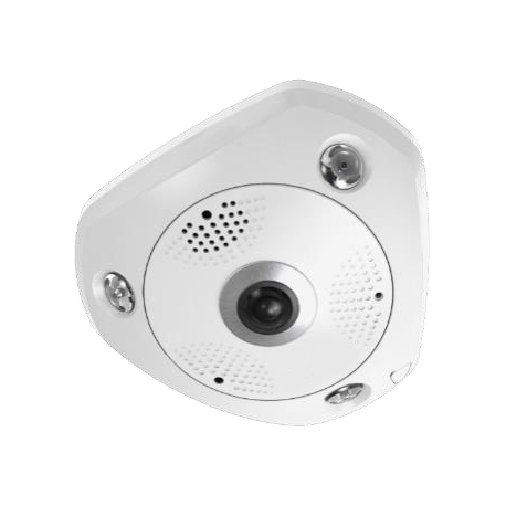 LevelOne FCS-3095 - Panoramic camera - dome - weatherproof - colour (Day&Night) - 12 MP - 4000 x 3000 - 720p, 1080p - M12 mount - fixed focal - audio - GbE - MJPEG, H.264 - DC 12 V  /  PoE - 0