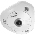 LevelOne FCS-3095 - Panoramic camera - dome - weatherproof - colour (Day&Night) - 12 MP - 4000 x 3000 - 720p, 1080p - M12 mount - fixed focal - audio - GbE - MJPEG, H.264 - DC 12 V / PoE