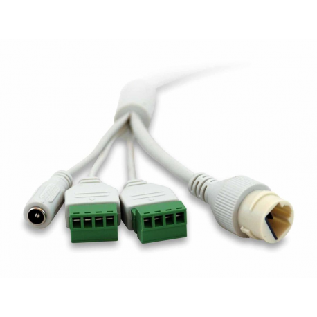 LevelOne GEMINI series FCS-3403 - Network surveillance camera - dome - outdoor - vandal  /  weatherproof - colour (Day&Night) - 4 MP - 1920 x 1080 - M12 mount - fixed focal - audio - LAN 10 / 100 - MJPEG, H.264, H.265 - DC 12 V  /  PoE - 6