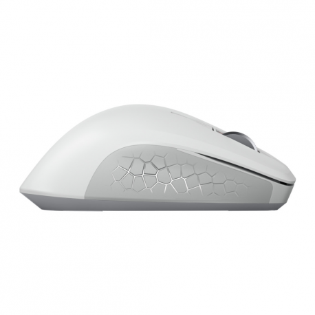 CHERRY STREAM MOUSE COMFORT - Mouse - ergonomic - right-handed - optical - 6 buttons - wireless - 2.4 GHz - USB wireless receiver - white / grey - 5