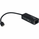 Argus IT-811 - Network adapter - USB-C - Gigabit Ethernet - black