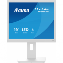 iiyama ProLite B1980S-W1 - LED monitor - 19" - 1280 x 1024 @ 75 Hz - TN - 250 cd/m² - 1000:1 - 3 ms - HDMI, DisplayPort - speakers - white, matte