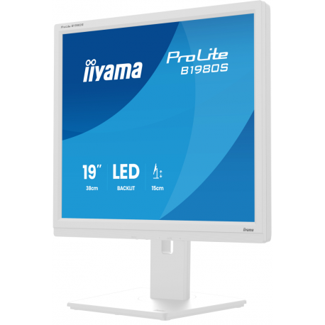 iiyama ProLite B1980S-W1 - LED monitor - 19" - 1280 x 1024 @ 75 Hz - TN - 250 cd/m² - 1000:1 - 3 ms - HDMI, DisplayPort - speakers - white, matte - 2