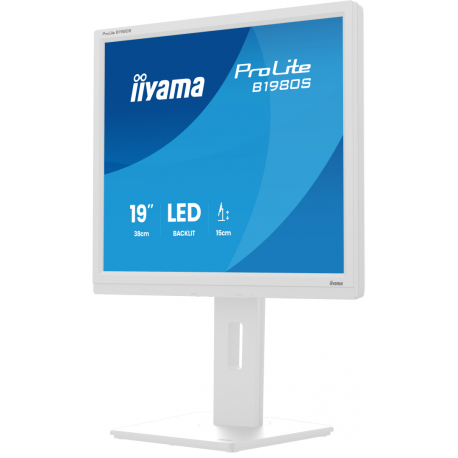 iiyama ProLite B1980S-W1 - LED monitor - 19" - 1280 x 1024 @ 75 Hz - TN - 250 cd/m² - 1000:1 - 3 ms - HDMI, DisplayPort - speakers - white, matte - 7
