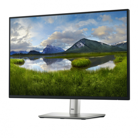 Dell P2425 - LED monitor - 24" (24.07" viewable) - 1920 x 1200 WUXGA @ 100 Hz - IPS - 300 cd/m² - 1500:1 - 5 ms - HDMI, VGA, DisplayPort - BTO - with 3 years Basic Hardware Service with Advanced Exchange after remote diagnosis - 1