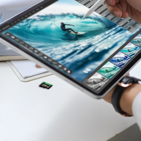 ADATA SPEED PLUS - Flash memory card (SD adapter included) - 256 GB - A2 / Video Class V30 / UHS-I U3 / Class10 - SDXC UHS-I - 8