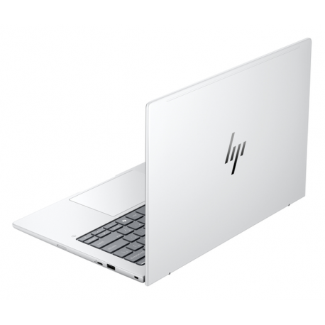 HP EliteBook 8 G1a Notebook Next Gen AI - 169-degree hinge design - AMD Ryzen AI 5 - 340 / up to 4.8 GHz - Win 11 Pro - Radeon 840M - 24 GB RAM - 512 GB SSD NVMe - 14" IPS 1920 x 1200 - Wi-Fi 7, Bluetooth - glacier silver - kbd: Pan Nordic - with HP Carbon Neutral Computing Services - To the Door with Usage Service for Notebooks - 5