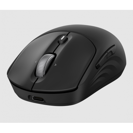 HP 705 Rechargeable Wireless Mouse - 0