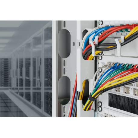 DIGITUS - Patch cable - RJ-45 (M) to RJ-45 (M) - 1 m - 3.8 mm - F / FTP - CAT 6a - IEEE 802.3 - halogen-free, slim - red - 2