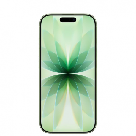Apple iPhone 17 - 5G smartphone - dual-SIM  /  Internal Memory 256 GB - OLED display - 6.3" - 2622 x 1206 pixels (120 Hz) - 2x rear cameras 48 MP, 48 MP - front camera 18 Megapixel - sage - 1