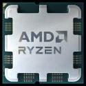 AMD Ryzen 7 7700 - 3.8 GHz - 8-core - 16 threads - 32 MB cache - Socket AM5 - AMD Processors multipack (MPK)