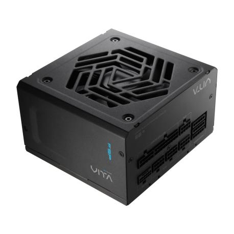 FSP Vita GM - Power supply (internal) - ATX12V 3.1 /  EPS12V 2.92 - 80 PLUS Gold - Cybenetics Gold - AC 100-240 V - 750 Watt - black - 0