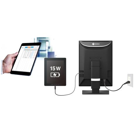 EIZO RadiForce RX270 - LCD monitor - 2MP - colour - 21.3" - 1200 x 1600 - IPS - 1000 cd / m² - 1800:1 - 20 ms - DVI-D, 2xDisplayPort - black - 8