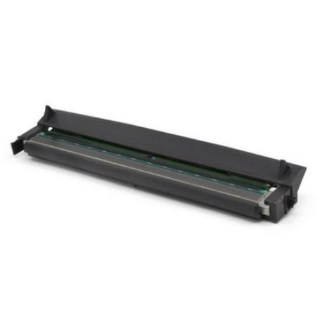 Zebra - 203 dpi - printhead - 1
