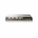 HPE 4Gb Fibre Channel Pass-Thru - Expansion module - 4Gb Fibre Channel (SW) - fibre optic - 16 ports - for BLc3000 Enclosure; BLc7000 Three-Phase Enclosure; ProLiant c3000