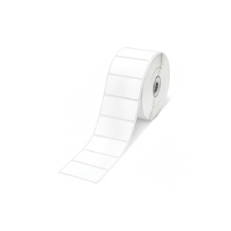 Epson PE - Matte - 102 x 152 mm 185 label(s) (1 roll(s) x 185) die cut labels - for ColorWorks CW-C4000E (BK), CW-C4000E (MK); TM C3500 - 0