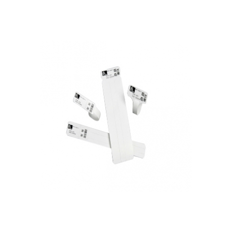 Zebra Z-Band Direct Pediatric - Polypropylene (PP) - adhesive - 25.4 x 177.8 mm 250 pcs. wristbands - for Zebra HC100 Patient I.D. Solution - 0