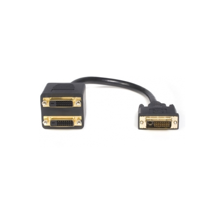 StarTech.com 1 ft DVI-D to 2x DVI-D Digital Video Splitter Cable - M / F (DVISPL1DD) - Video splitter - dual link - DVI-D female to DVI-D male - 30.5 cm - shielded - black - for P / N: DVIDDMM1, DVIDDMM10M, DVIDDMM25, DVIDDMM2M, DVIDDMM3M, DVIDDMM5M - 3