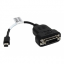 StarTech.com Mini DisplayPort to DVI Adapter - 1080p - Single Link - Active - Mini DP (Thunderbolt) to DVI Monitor Adapter (MDP2DVIS) - DVI adapter - dual link - Mini DisplayPort (M) to DVI-D (F) - 20 cm - black