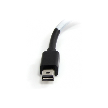 StarTech.com Mini DisplayPort to DVI Adapter - 1080p - Single Link - Active - Mini DP (Thunderbolt) to DVI Monitor Adapter (MDP2DVIS) - DVI adapter - dual link - Mini DisplayPort (M) to DVI-D (F) - 20 cm - black - 2
