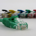 Netrack - Patch cable - RJ-45 (M) to RJ-45 (M) - 25 cm - UTP - CAT 5e - molded, snagless - green