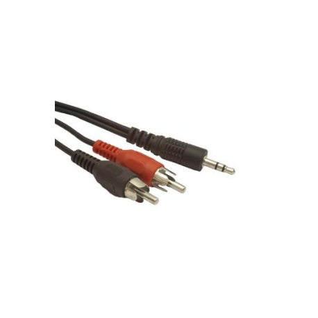 Gembird CCA-458 - Audio cable - RCA x 2 male to stereo mini jack male - 2.5 m - 0
