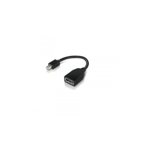 Lenovo - DisplayPort adapter - Mini DisplayPort (M) to DisplayPort (F) - 17.6 cm - for ThinkCentre M70; M80; M90; ThinkStation P330; P330 Gen 2; P34X; P350; P520; P620 - 0