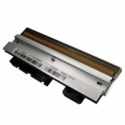 Citizen - 203 dpi - printhead - for Citizen CL-S6621, CL-S6621XL